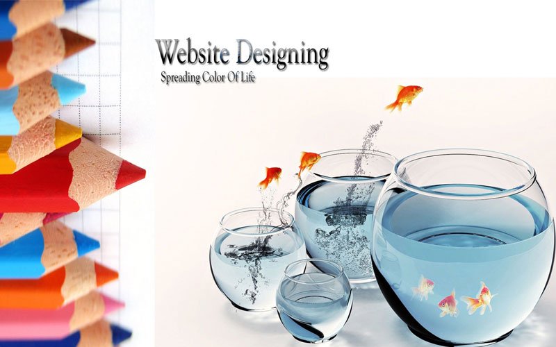 Website Designing